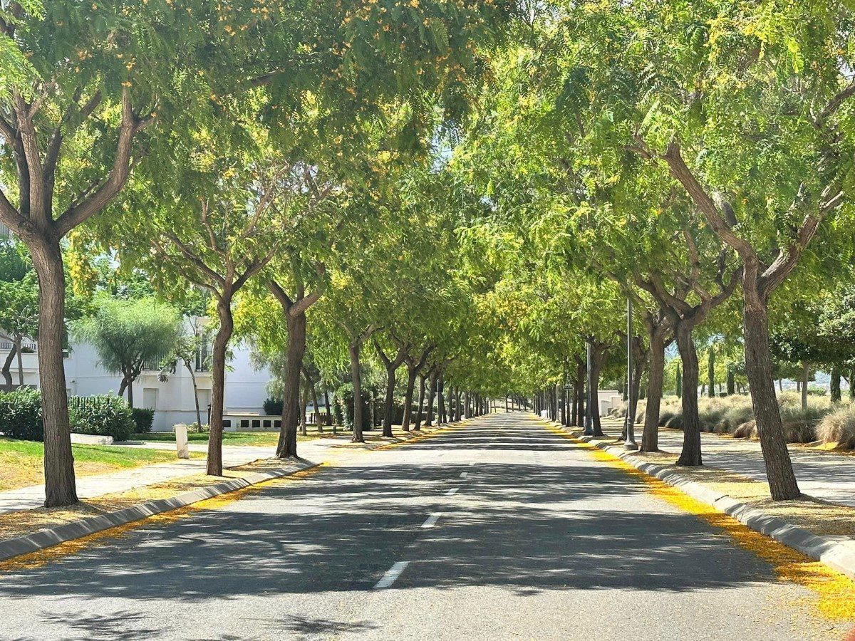 Hacienda Riquelme Golf Resort Apartment - HR278 15 Lonrah Hacienda Riquelme Golf Resort HR278 06.jpg