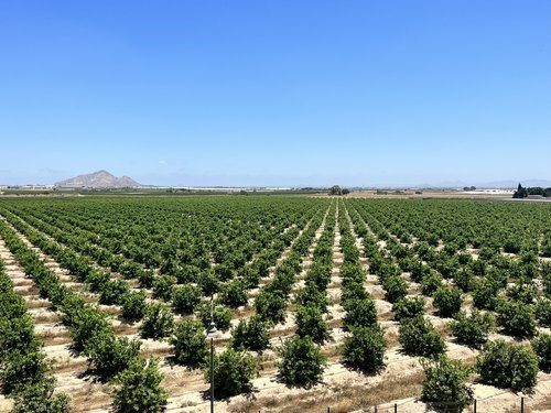 La Torre Golf Resort Penthouse Apartment - LT024 22 Lonrah La Torre Golf Resort Murcia LT024 07