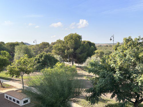 Hacienda Riquelme Second Floor Apt - HR310 26 HR310 terrace views trees