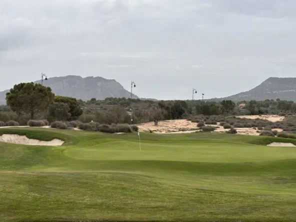 HR313 views golf course
