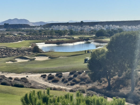 HR341 views golf course