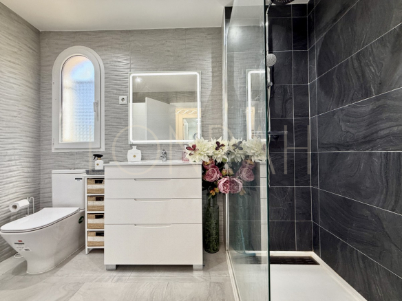 HR538 10Photo 17 7 25 12 05 09