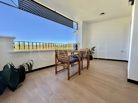 HR540 11Photo 21 7 25 11 10 51 (1)