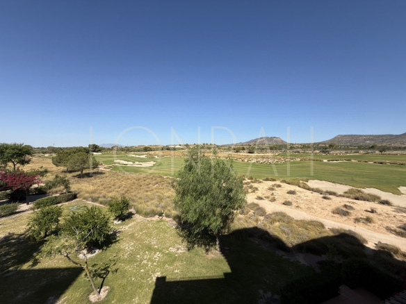 HR540 16Photo 21 7 25 11 08 20