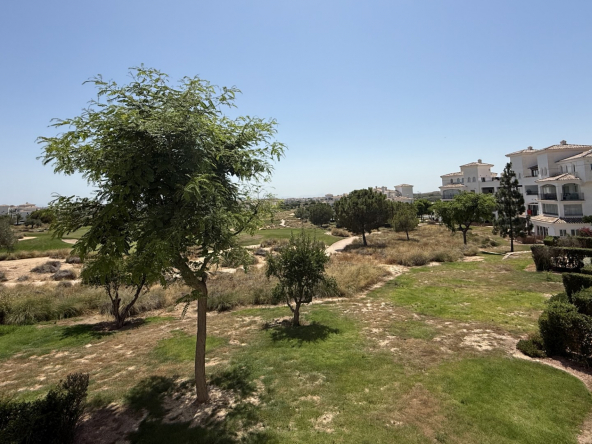 HR574 16Foto 15 7 25 15 18 37