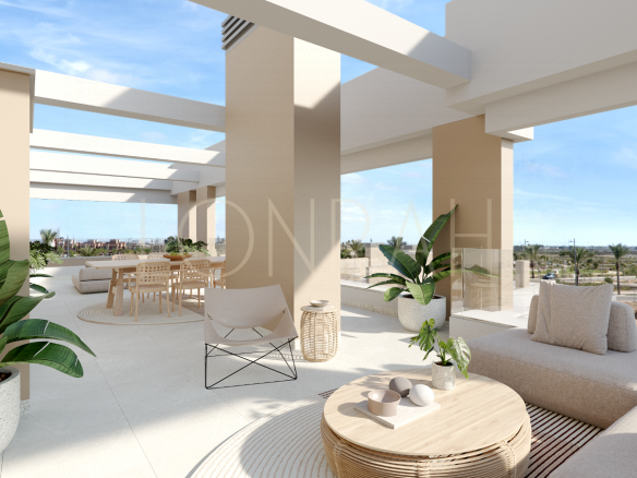 SR005 encina 56 Photo 5 7 25 09 13 21