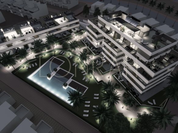 SR005 encina 57 Photo 5 7 25 09 10 45 (6)