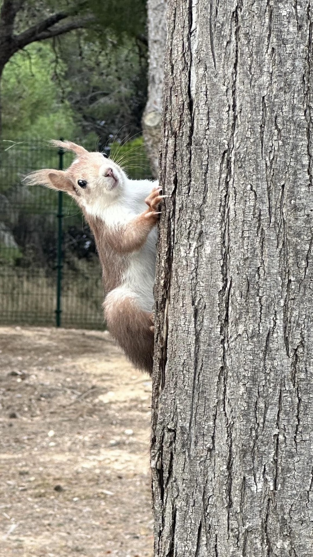 hacienda riquelme Photo Dec 17 2025 10 42 50 AM (1)
