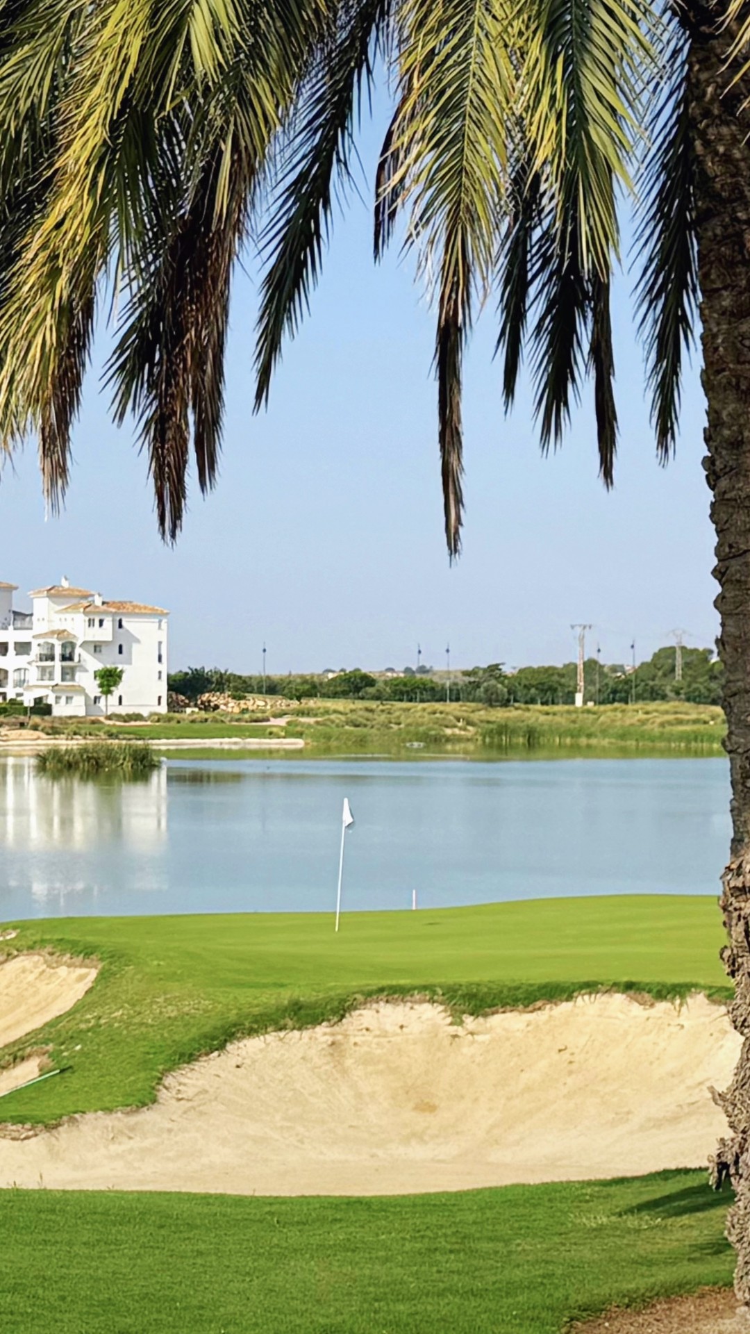 hacienda riquelme Photo Dec 17 2025 10 43