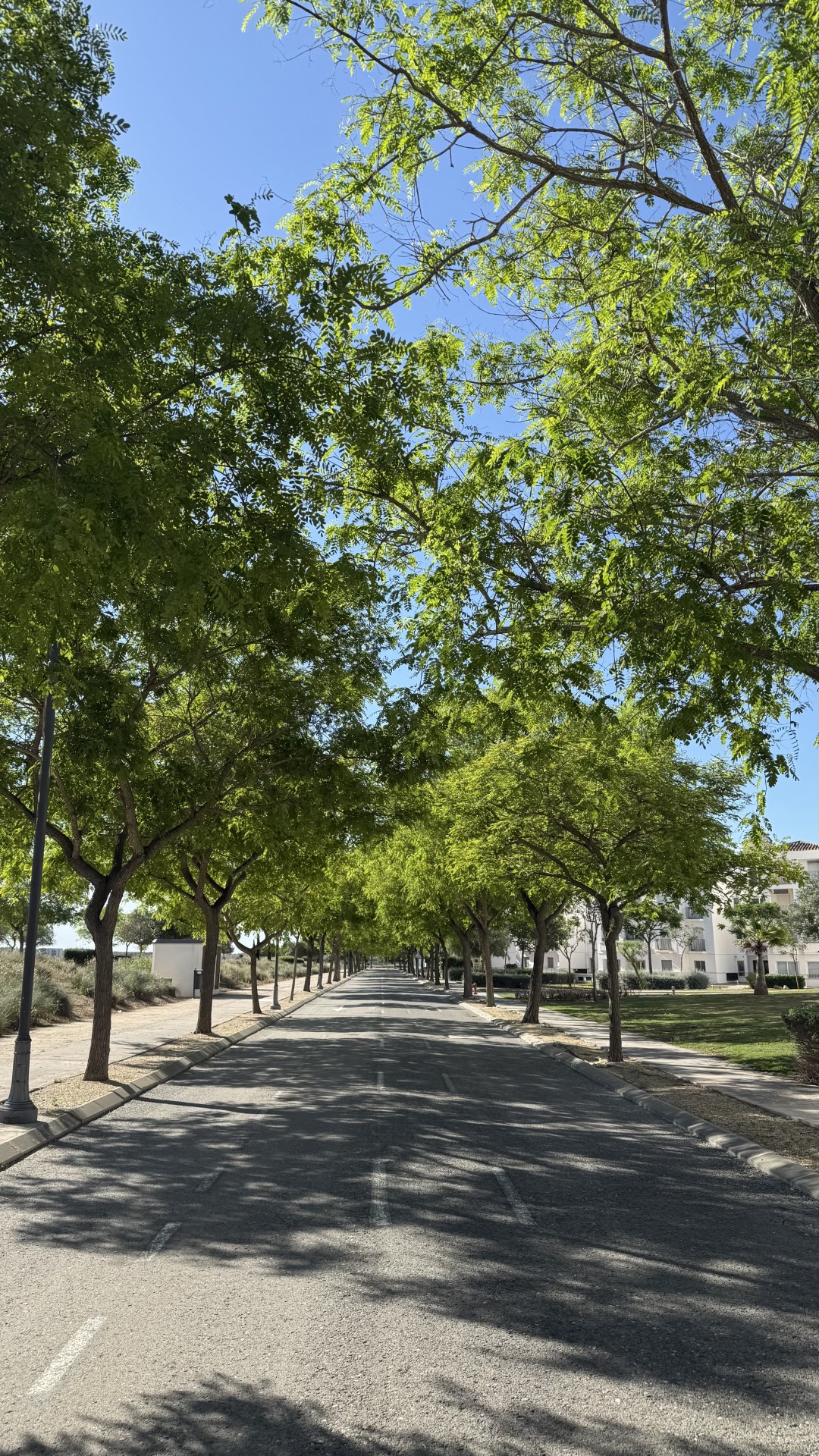 hacienda riquelme Photo May 20 2025 9 48