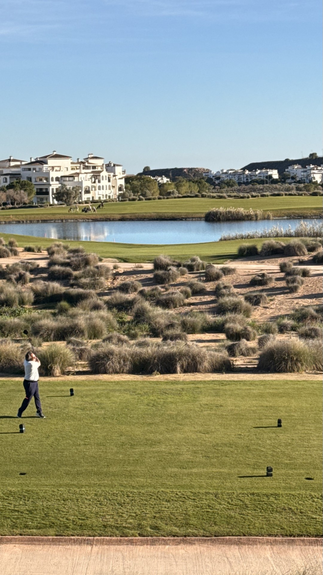 hacienda riquelme Photo Nov 20 2024 3 57